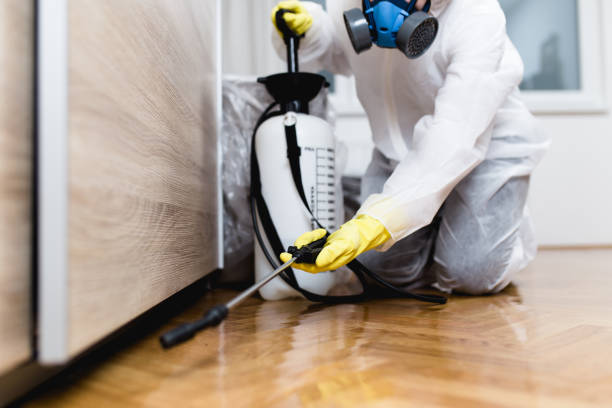 Professional Pest Control in Watchung, NJ