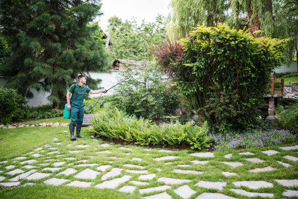 Best Pest Control Near Me in Watchung, NJ