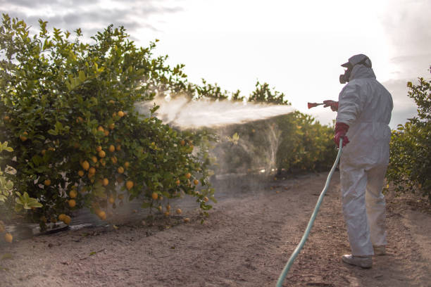 Trusted Watchung, NJ Pest Control Experts
