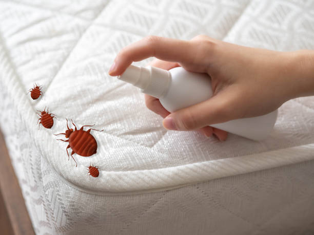 Best Spider Control Near Me  in Watchung, NJ