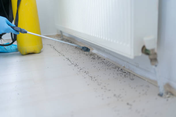 Best Affordable Pest Control Services  in Watchung, NJ